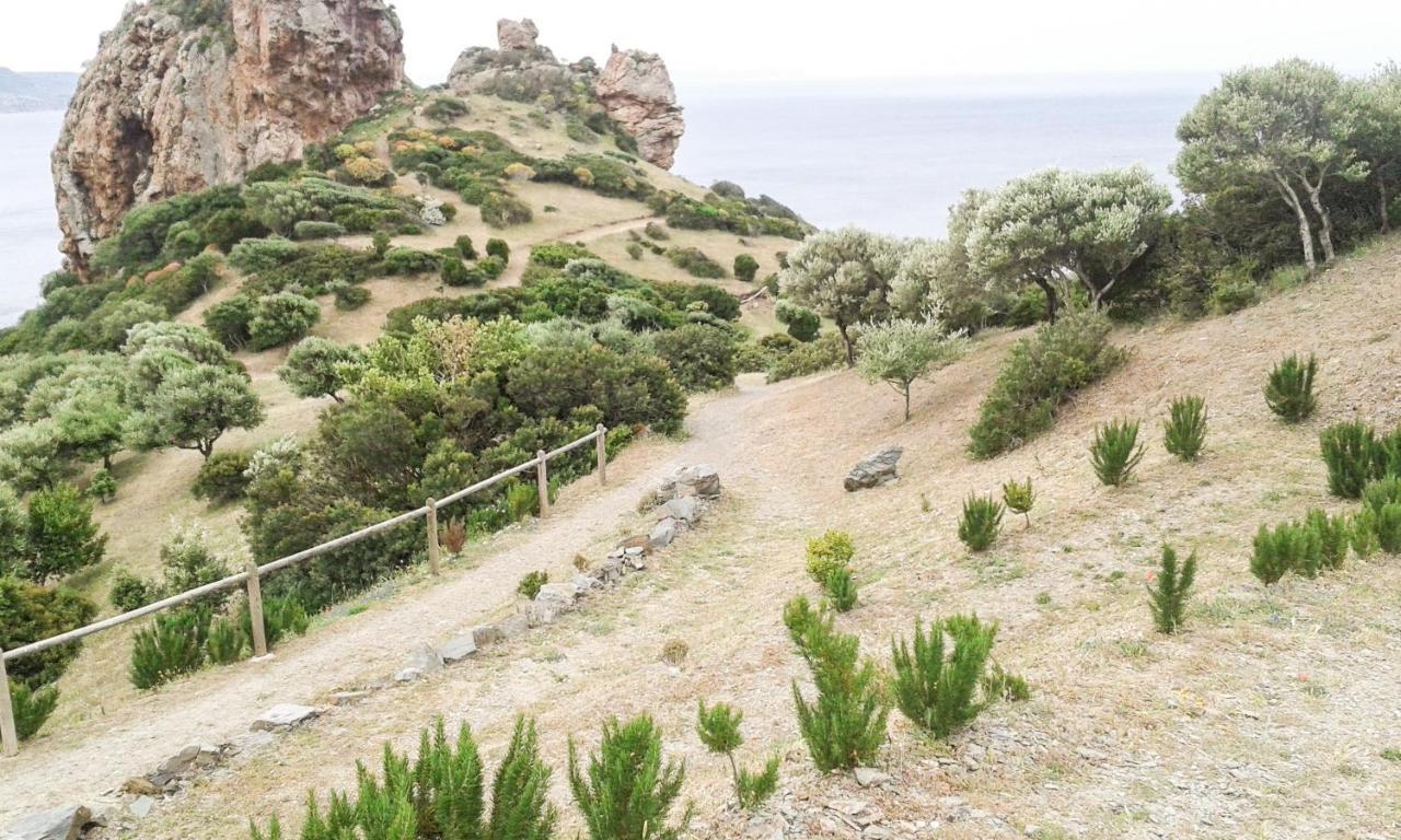 La Terrazza Fiorita Villa Nebida Exterior photo